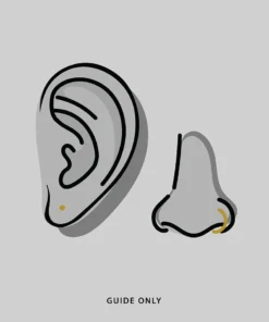 CLASSICS Earrings Tiny Gold Hoops - 10mm