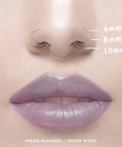 CLASSICS Nose Rings The Fine Nose Ring