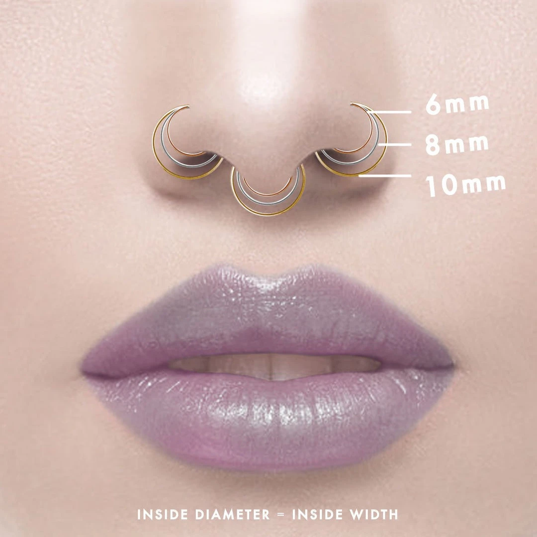 CLASSICS Nose Rings The Fine Nose Ring 2 CLASSICS Nose Rings The Fine Nose Ring