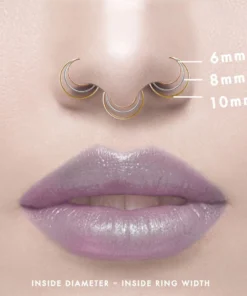 CLASSICS Nose Rings The Fine Nose Ring 28 CLASSICS Nose Rings The Fine Nose Ring