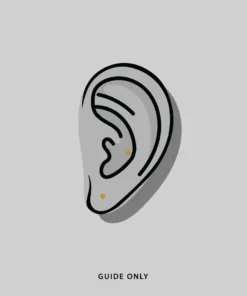 CLASSICS VITA. Hinge Huggie Hoop Earrings - Gold