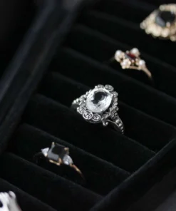 CLASSICS The Black Velvet Coffin Ring Case